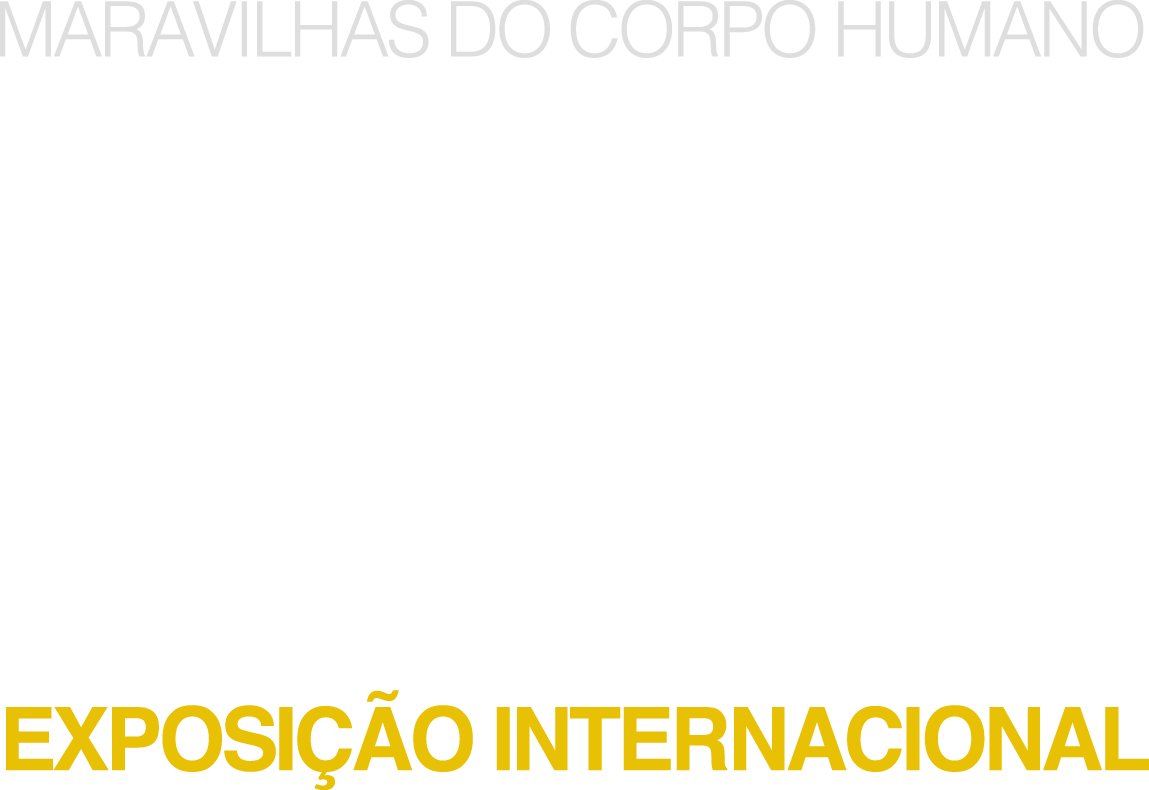 Human Bodies — Maravilhas do Corpo Humano