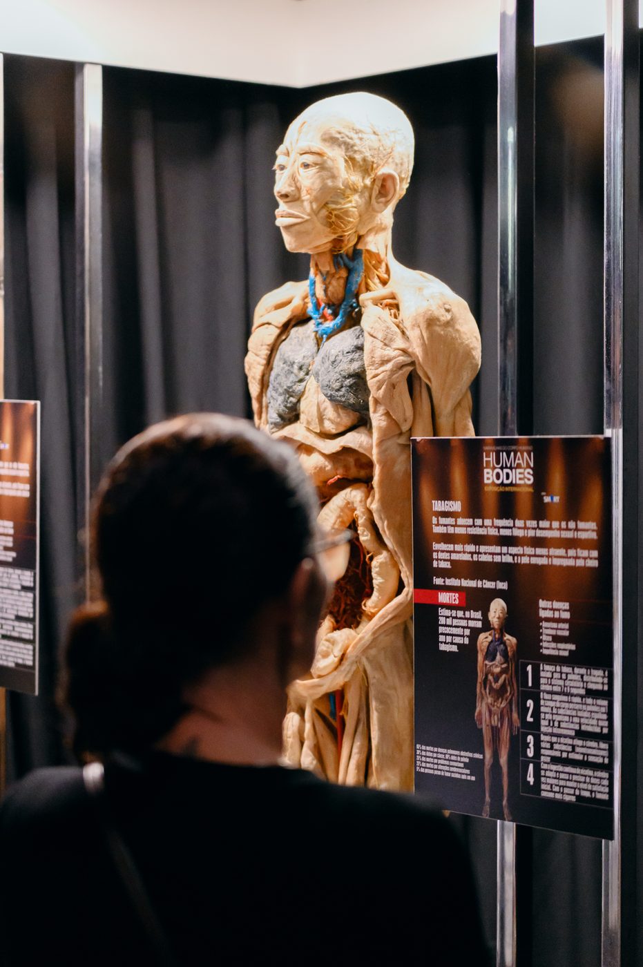 Corpo humano plastinado em pose dinâmica