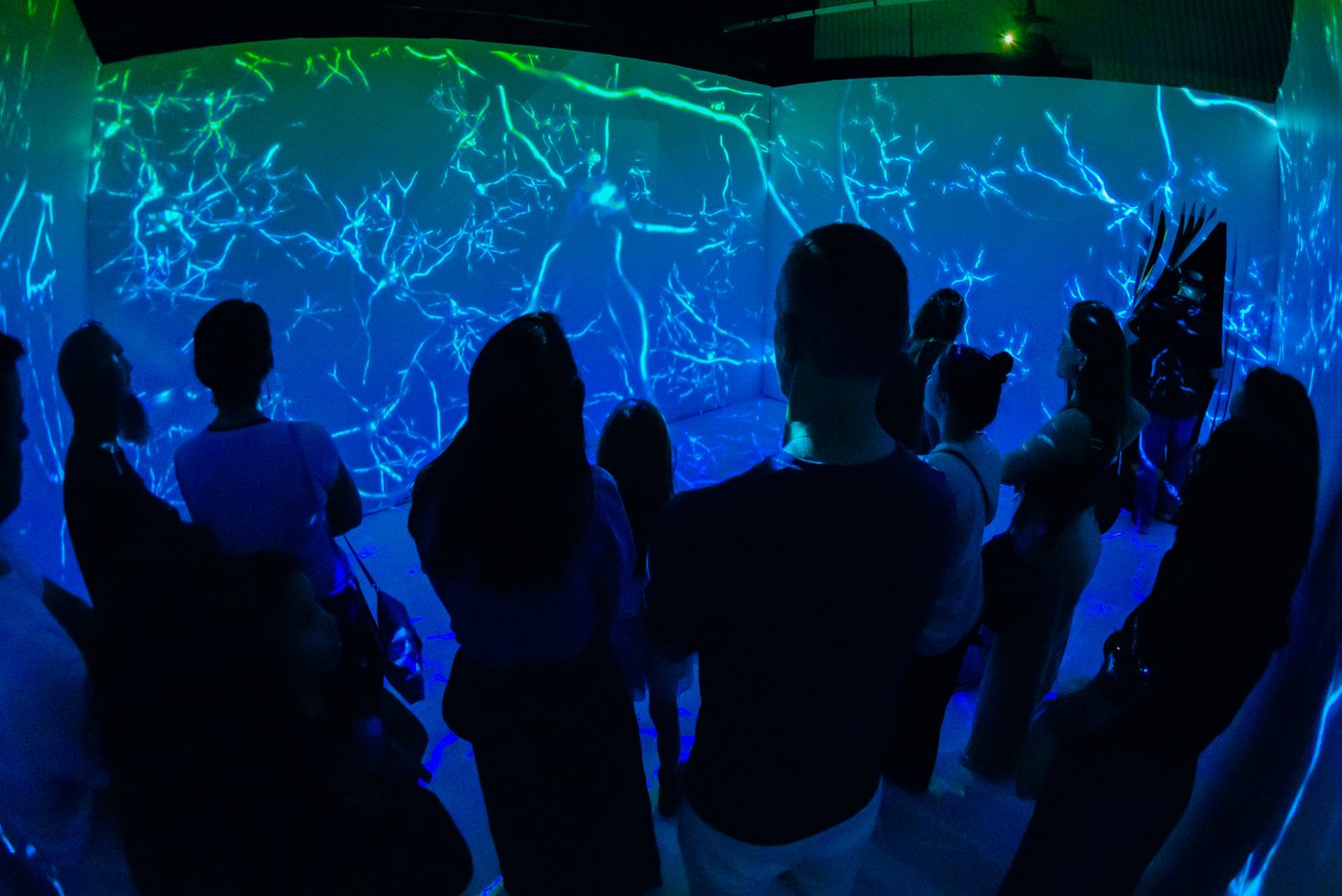 Sala imersiva da exposição